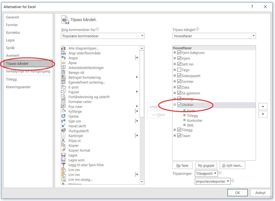 Aktivere Excel utvikler fane