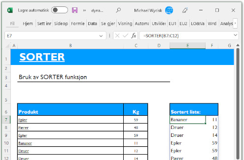 Illustrasjon av dynamiske matriser med SORTER som eksempel